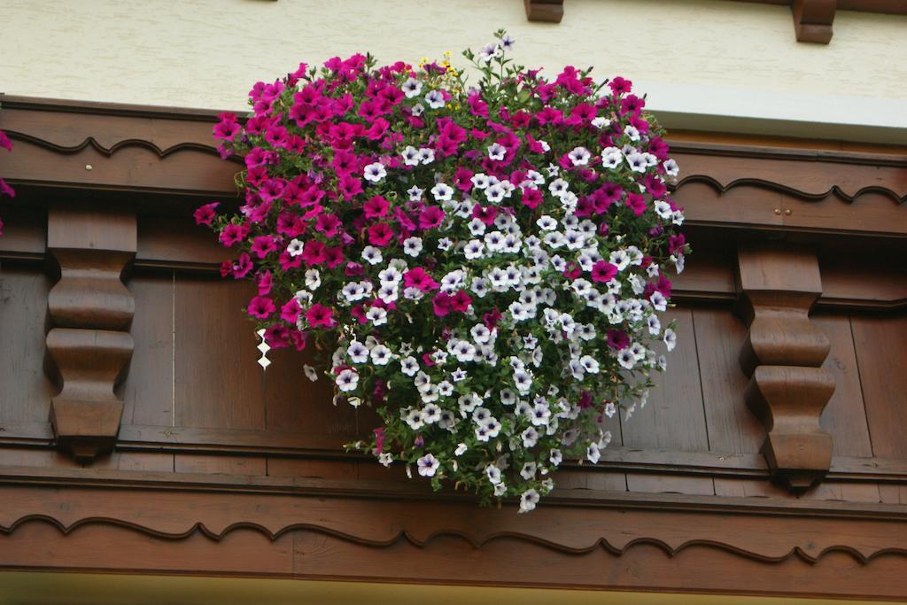 Gaestehaus Kuebler المظهر الخارجي الصورة